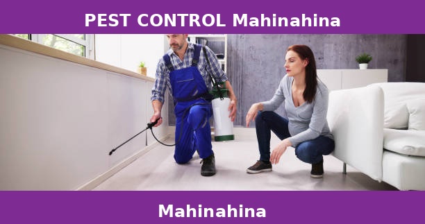 PEST CONTROL Mahinahina